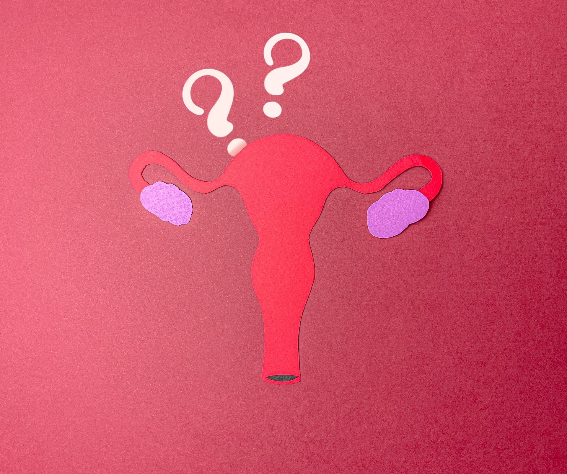 utiliser cup menstruelle coupe menstruelle uterus retroversé luneale possible possibilité